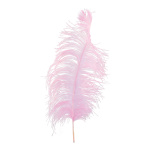 Straußenfeder Naturmaterial Größe:60cm Farbe: pink