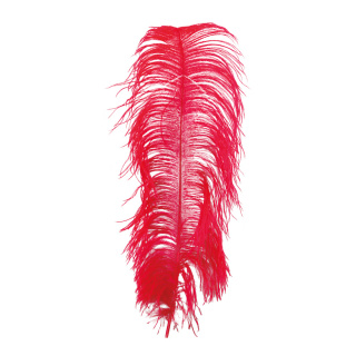 Ostrich feather natural - Material:  - Color: red - Size: 60cm
