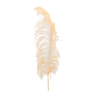 Ostrich feather natural - Material:  - Color: orange - Size: 60cm