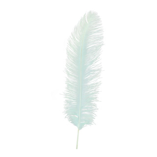 Ostrich feather natural - Material:  - Color: green - Size: 60cm