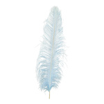Ostrich feather natural - Material:  - Color: blue -...
