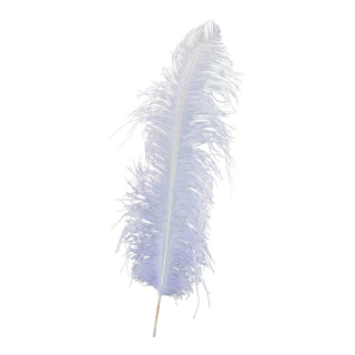 Ostrich feather natural - Material:  - Color: purple - Size: 60cm