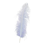 Ostrich feather natural - Material:  - Color: purple -...