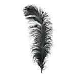 Ostrich feather natural - Material:  - Color: black -...