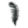 Ostrich feather natural - Material:  - Color: black - Size: 60cm