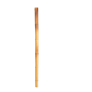 Bamboo cane natural - Material: sun bleached yellow - Color: natural/light yellow - Size: 180cm X Ø 50-60mm