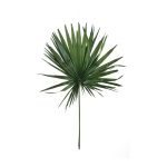 Washingtonia-Palmwedel, getrocknet, Größe: 120cm Farbe: grün