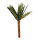 Palmier Areca séché, matière naturelle conservée     Taille: 200cm    Color: vert/brun