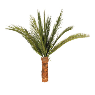 Phoenix palm tree dried, tinned natural material     Size: 160cm    Color: green/brown