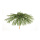 Schirm faltbar, aus künstlichen Palmblättern     Groesse: Ø 120cm    Farbe: grün