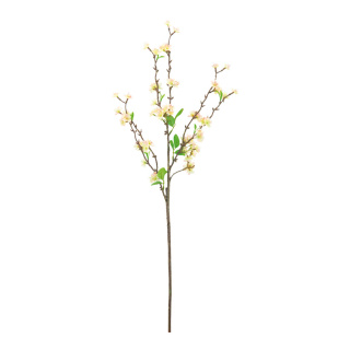 Blütenzweig      Groesse: 75cm    Farbe: weiß/braun