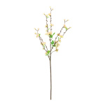 Branche de fleurs   Color: blanc/brun Size: 75cm