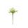 Bouquet de baies      Taille: 38cm    Color: blanc/vert