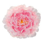 Peony flower head with hanger - Material:  - Color: pink...