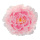 Tête de pivoine ec cintre     Taille: Ø 35cm    Color: rose