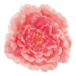 Peony flower head with hanger - Material:  - Color: peach...