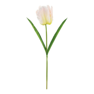 Tulipe XXL en plastique     Taille: 110cm    Color: rose/blanc