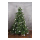 Noble fir mix of PE/PVC with 862 Tips (751 PVC/111 PE) - Material: with 300 warm white LEDs 3 parts+metal stand - Color: green/warm white/silver - Size: 180cm X Ø ca. 135cm