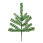 Noble fir twig with 12 tips - Material: for indoor made...