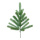 Noble fir twig with 24 tips - Material: for indoor made of PE - Color: green - Size: 60cm