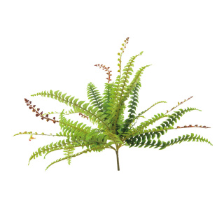 Fernleaf bush 30-fold, out of plastic     Size: 70cm    Color: green