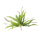 Fernleaf bush 30-fold, out of plastic     Size: 70cm    Color: green