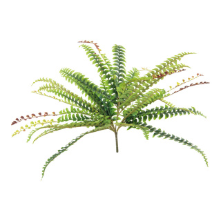 Fernleaf bush 40-fold, out of plastic     Size: 80cm    Color: green