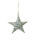 Wicker star  - Material: out of willow - Color: silver - Size: 20cm