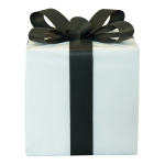 Paquet cadeau  en polystyrène Color: blanc/noir...