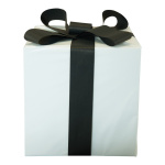 Paquet cadeau  en polystyrène Color: blanc/noir...