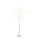 Coral tree  - Material: made of wood - Color: white - Size: 160cm
