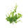 Weinlaubzweig aus Kunststoff     Groesse:70cm    Farbe:grün