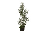EUROPALMS Olive tree, artificial plant, 90 cm