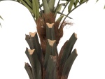 EUROPALMS Kentia Palme deluxe, Kunstpflanze  300cm