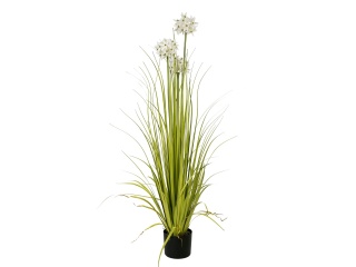 EUROPALMS Allium grass, artificial plant, white, 120 cm
