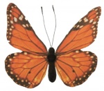 Papillon avec fil de fer pour fixation     Taille:...