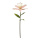 Lily with stem out of artificial silk/plastic     Size: 100cm, flower Ø 36cm    Color: rose