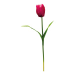 Tulpe am Stiel,  Größe: 70cm Farbe: cerise