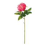 Peony with stem out of artificial silk/plastic     Size:...