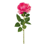 Rose am Stiel,  Größe: 60cm Farbe: pink