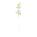 Orchidee am Stiel aus Kunstseide/Kunststoff     Groesse:...