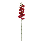 Orchidee am Stiel aus Kunstseide/Kunststoff Größe:90cm...