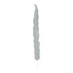 Plume  en mousse Color: blanc Size: 145cm X Feder ca....