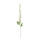 Branche de cytise en soie artificielle/plastique     Taille: 110cm    Color: blanc/vert