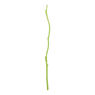 Wooden twig out of natural wood     Size: 90cm, Ø 1,5cm-5cm    Color: light green