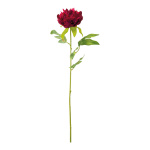 Pivoine sur tige  en soie artificielle/plastique Color:...