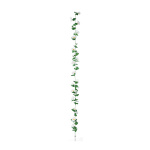 Margeritengirlande,  Größe: 180cm Farbe: grün/weiß
