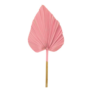 Palmenblatt aus Naturmaterial     Groesse: 70x30cm    Farbe: pink