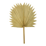 Palmenblatt aus Naturmaterial     Groesse: 55x36cm -...