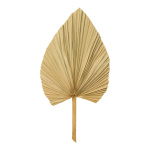 Palmenblatt aus Naturmaterial Abmessung: 70x45cm Farbe:...